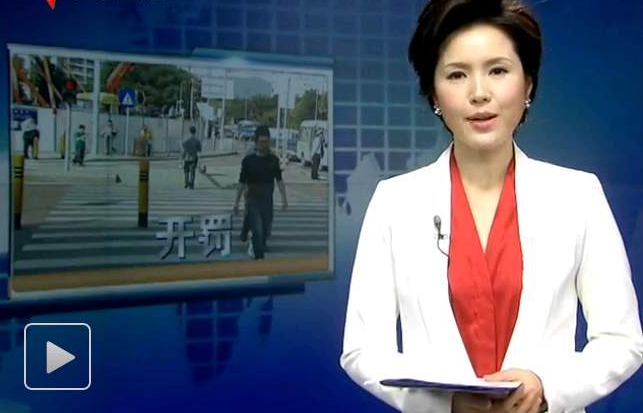 倒伏的梧桐树占据停车场一角20多天过去了，为何无人清理？